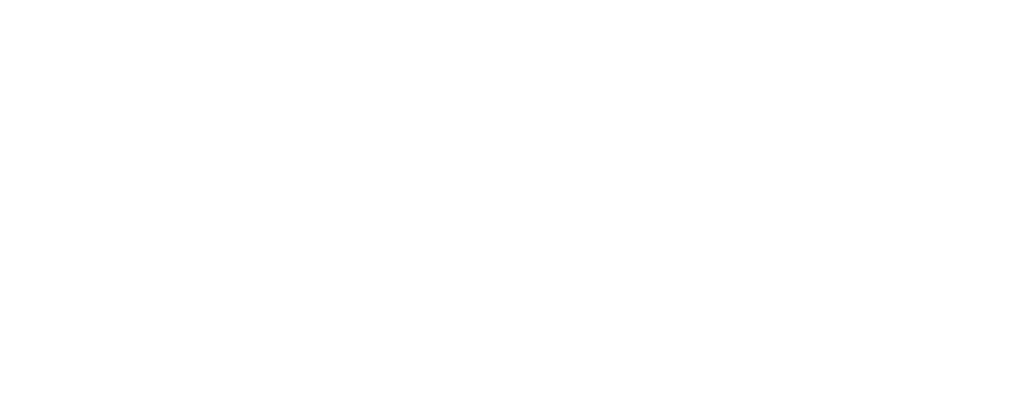 VATSIM